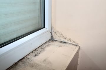 Mold removal by Speed General Services