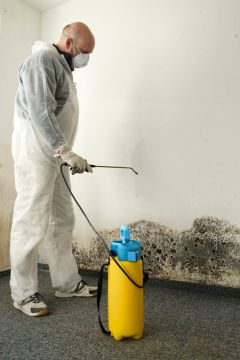 Celebration Mold Removal Prices by Speed General Services